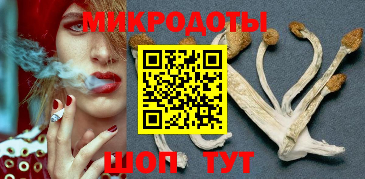 Псилоцибиновые грибы Psilocybine cubensis  Вход с VPN  Туапсе  Галлюциногенные грибы Psilocybine cubensis 