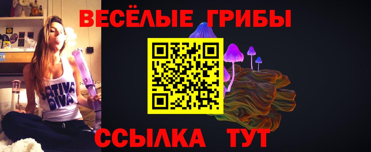 Псилоцибиновые грибы Magic Shrooms Туапсе